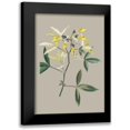 thumbnail image 1 of Cooke, E.W. 18x24 Black Modern Framed Museum Art Print Titled - Botanical Cabinet VI, 1 of 5