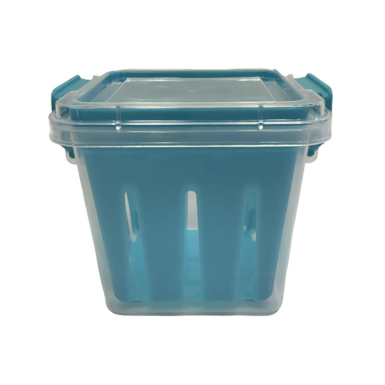 https://i5.walmartimages.com/seo/Cooking-Concepts-Veggie-Storage-Container-Reusable-BPA-Free-Fruit-and-Vegetable-Storage-5-x-4-x-4-Teal_6d4125bf-4721-4404-b5eb-26a3d21deaf0.083720dc363022c36577cb87d7a30973.jpeg?odnHeight=768&odnWidth=768&odnBg=FFFFFF