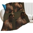 thumbnail image 1 of Cool Alan Ritchson Blanket Ultra Soft Flannel Fleece Blanket Stylish Bedroom Living Room Sofa Warm Blanket All Season Use 40""*50"" （100 * 130cm）, 1 of 6
