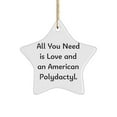 thumbnail image 1 of Cool American Polydactyl Cat Star Ornament, All You Need is Love and an American Polydactyl., Brilliant for Cat Lovers, Holiday, 1 of 1