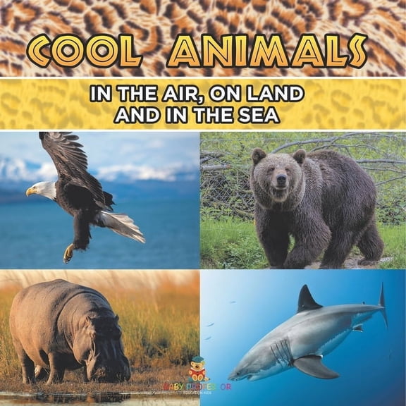 Cool Animals: In The Air, On Land and In The Sea, (Paperback)