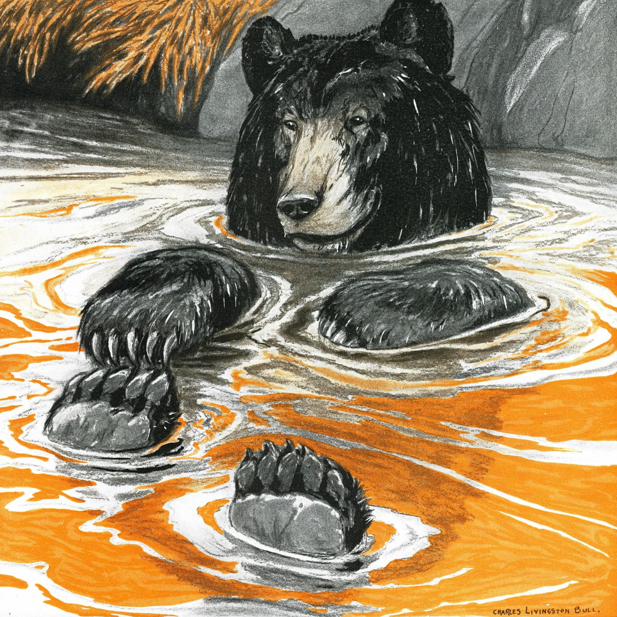 "Cool Bear" Painting Print on Wrapped Canvas