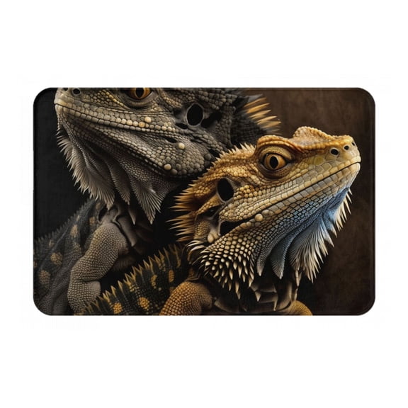 Cool Bearded Dragon Lizards Doormat Non Slip Front Door Bathroom Bath Mats Entryway Rug 23.6x15.7 Inch Indoor Door Carpet