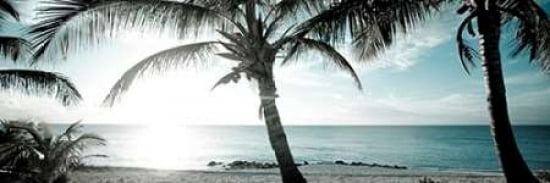 Cool Bimini I Canvas Art - Susan Bryant (12X36)