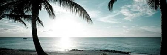 Cool Bimini II Canvas Art - Susan Bryant (12X36)