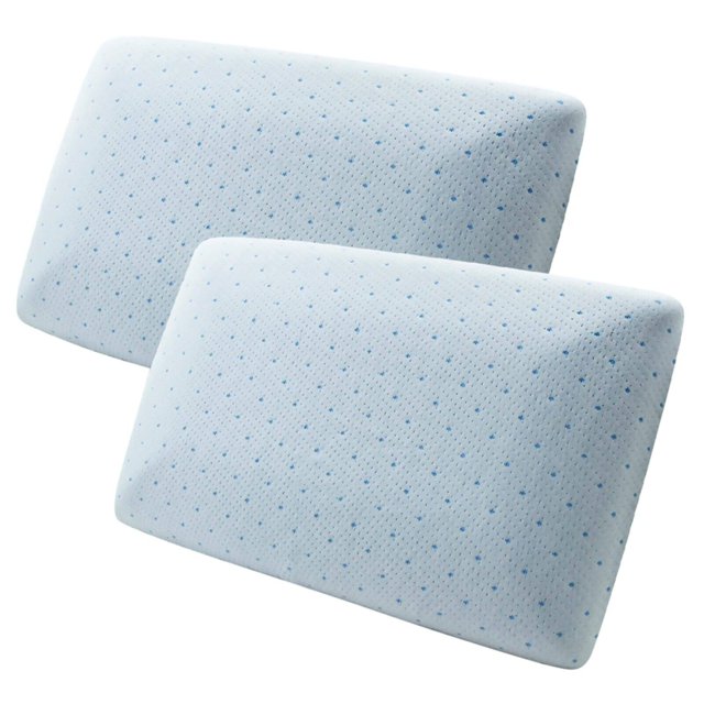 CoolBlue Memory Foam Conventional Pillow by Arctic Sleep Set of 2