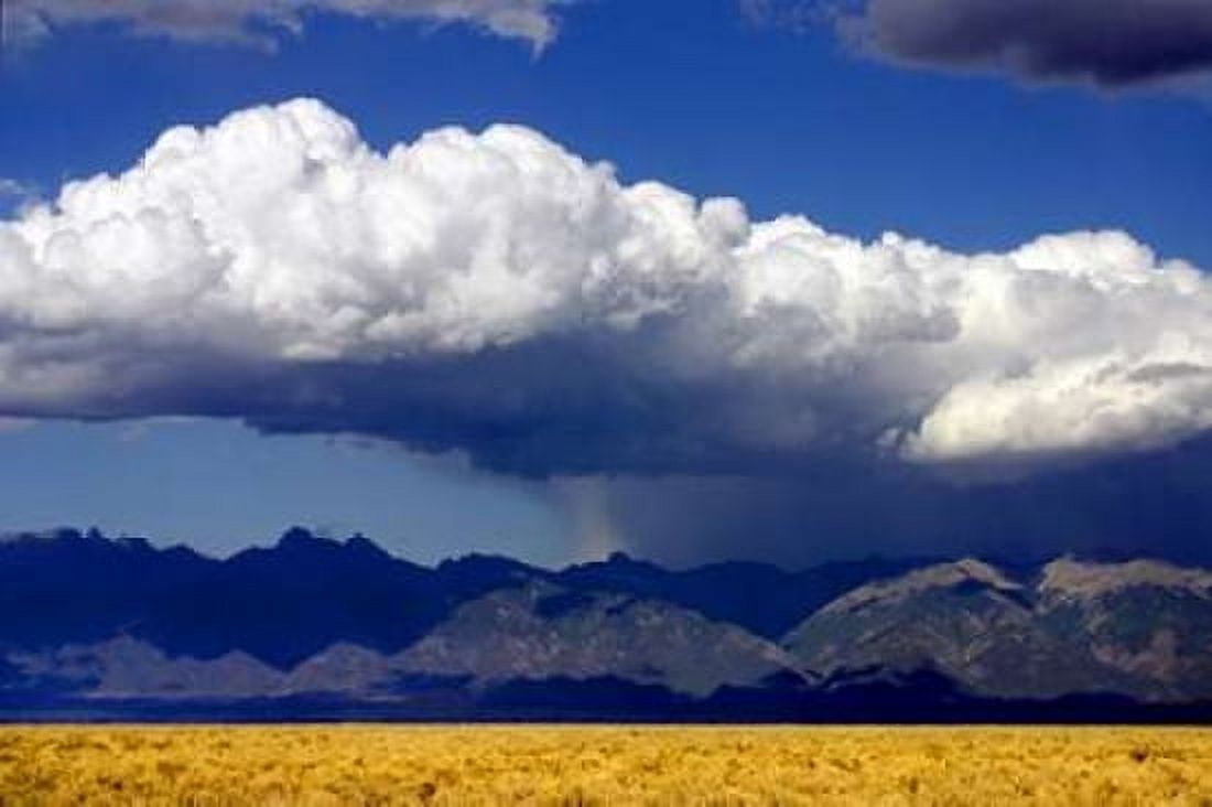Cool Colorado Rain Canvas Art - Douglas Taylor (24 x 36)