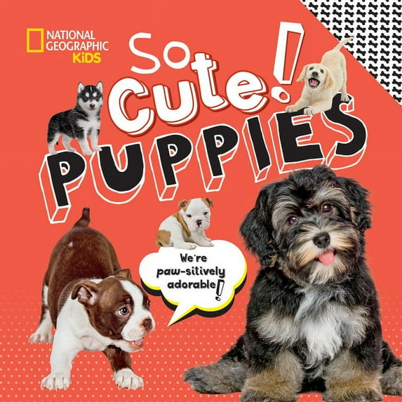 So Cool/So Cute So Cute! Puppies, (Hardcover)