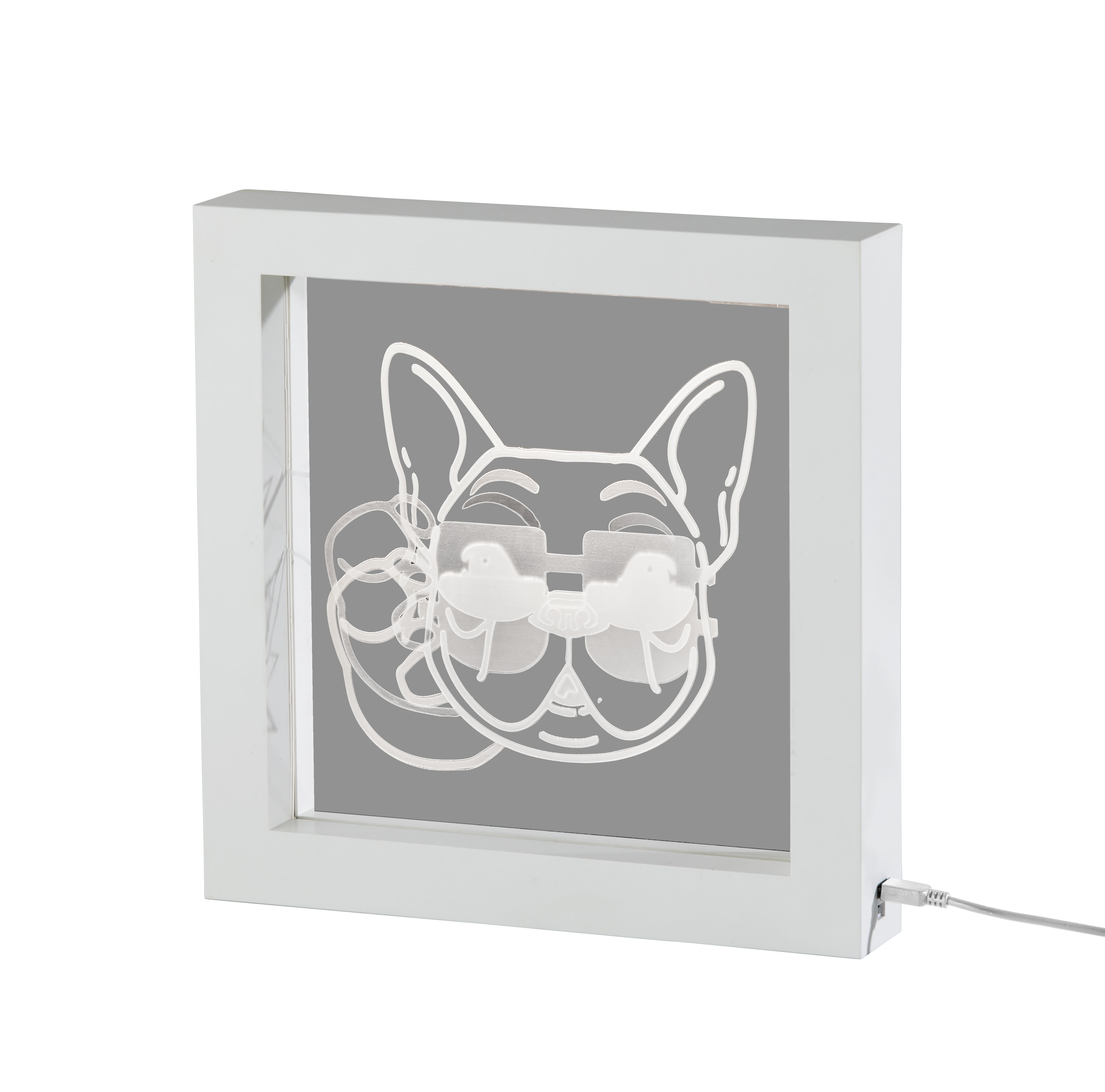 Simplee Adesso Cool Dog Video Light Box