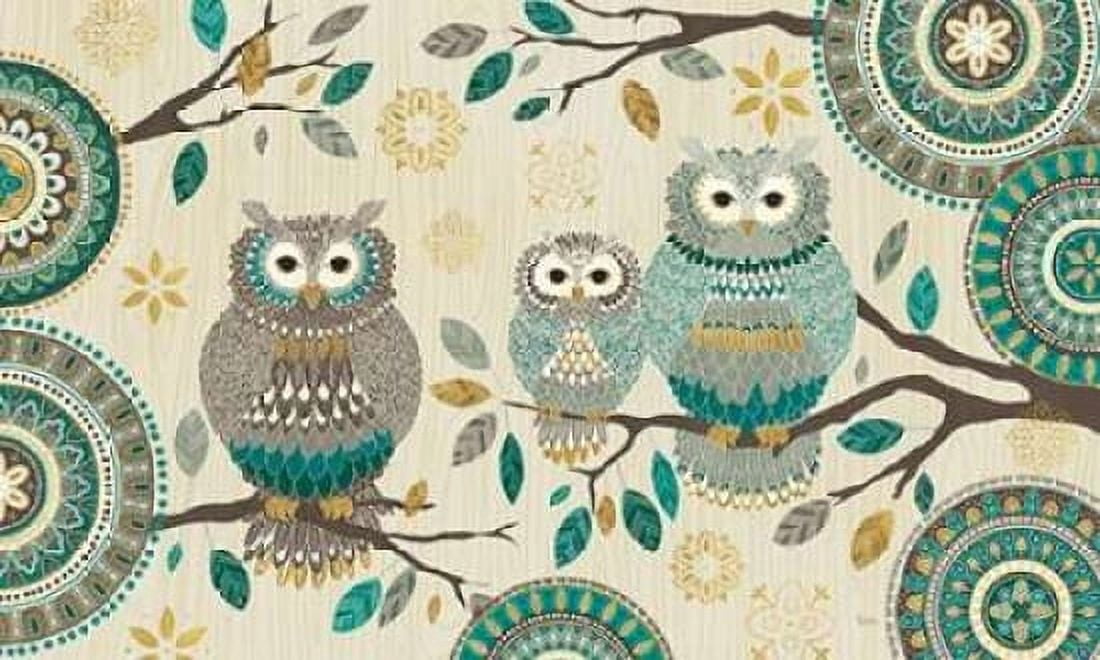 Cool Feathers V Canvas Art - Veronique Charron (12 x 18)