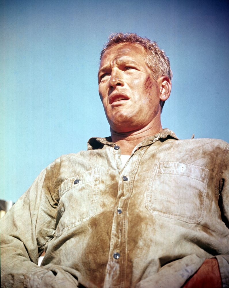 Cool Hand Luke Canvas Art - (16 x 20)