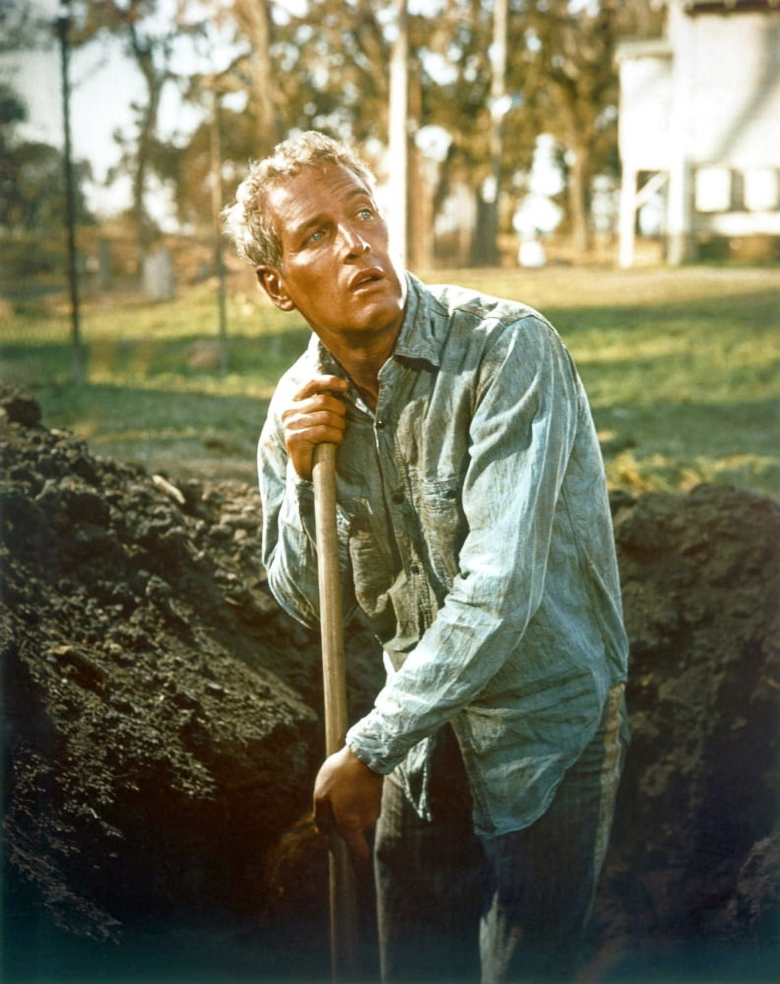 Cool Hand Luke Canvas Art - (16 x 20)