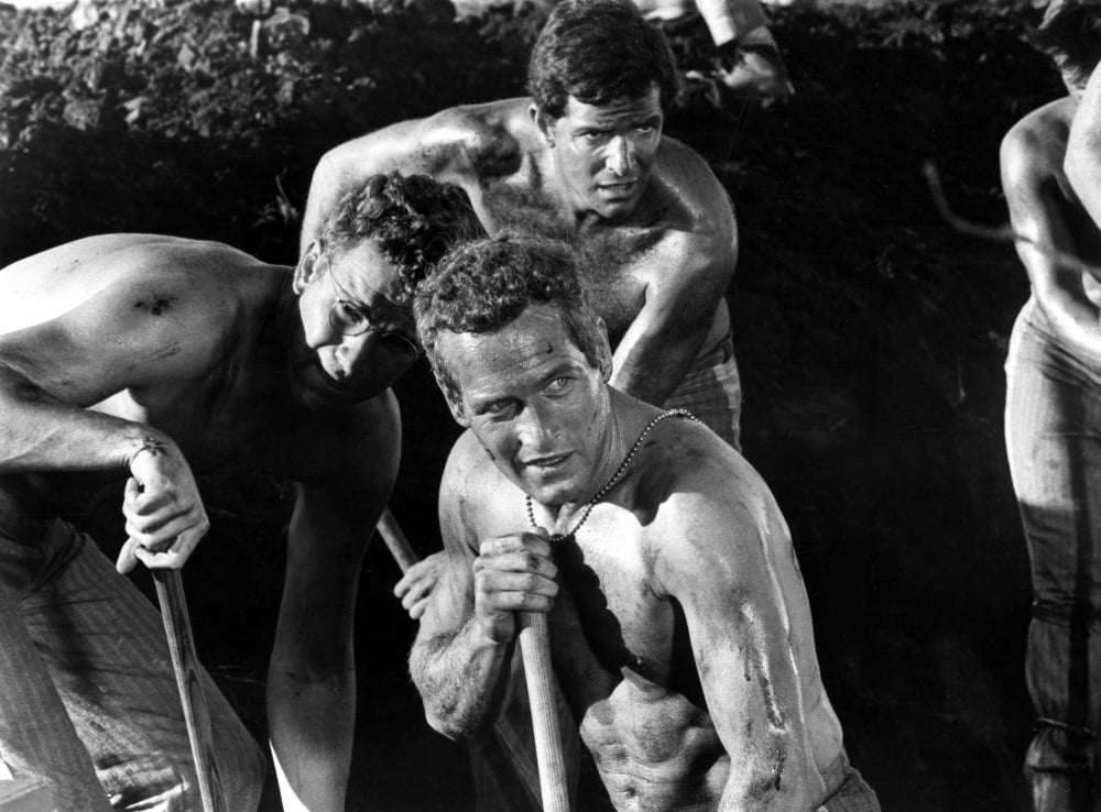 Cool Hand Luke Canvas Art - (20 x 16)
