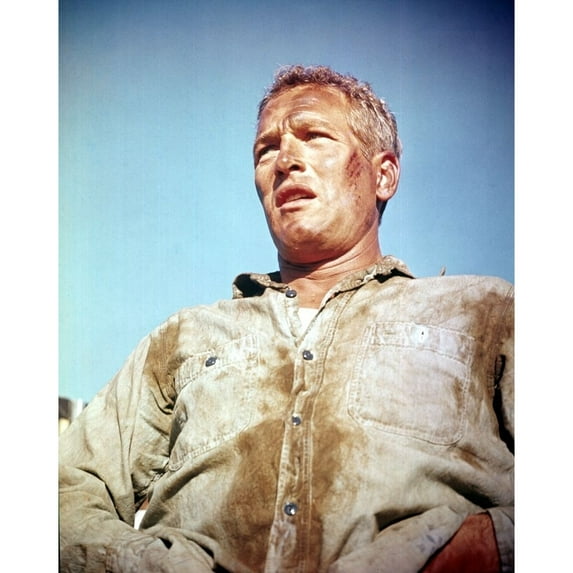 Cool Hand Luke, Paul Newman, 1967 Poster Print (8 x 10)