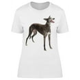 thumbnail image 1 of Cool Hound Dog  Smiling T-Shirt Women -Image by Shutterstock, Female 3X-Large, 1 of 2