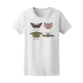 thumbnail image 1 of Cool Insect Moth Set Tee Women's -Image by Shutterstock, 1 of 1