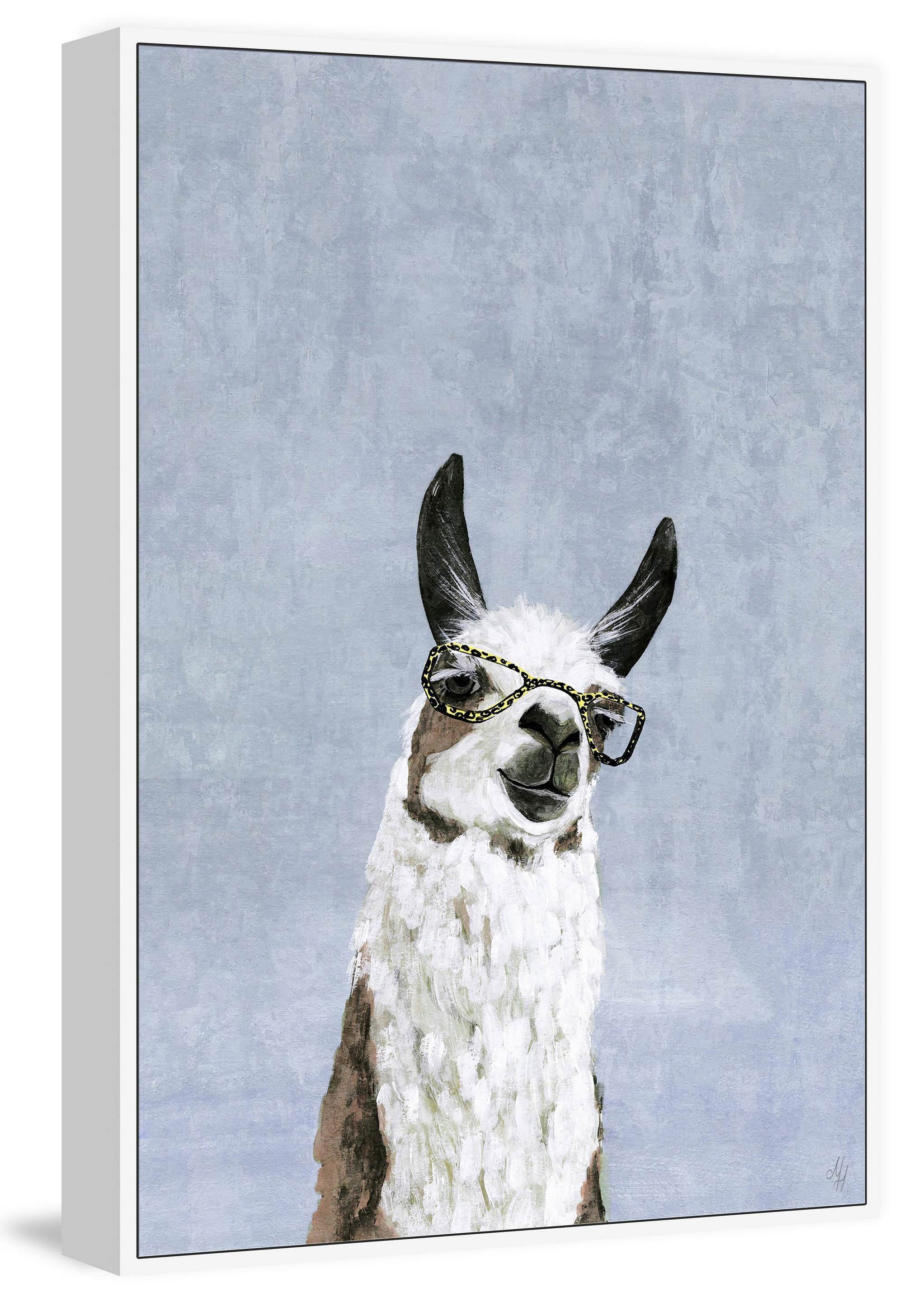 Cool Llama II Floater Framed Painting Print on Canvas