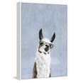 thumbnail image 1 of Cool Llama II Floater Framed Painting Print on Canvas, 1 of 6