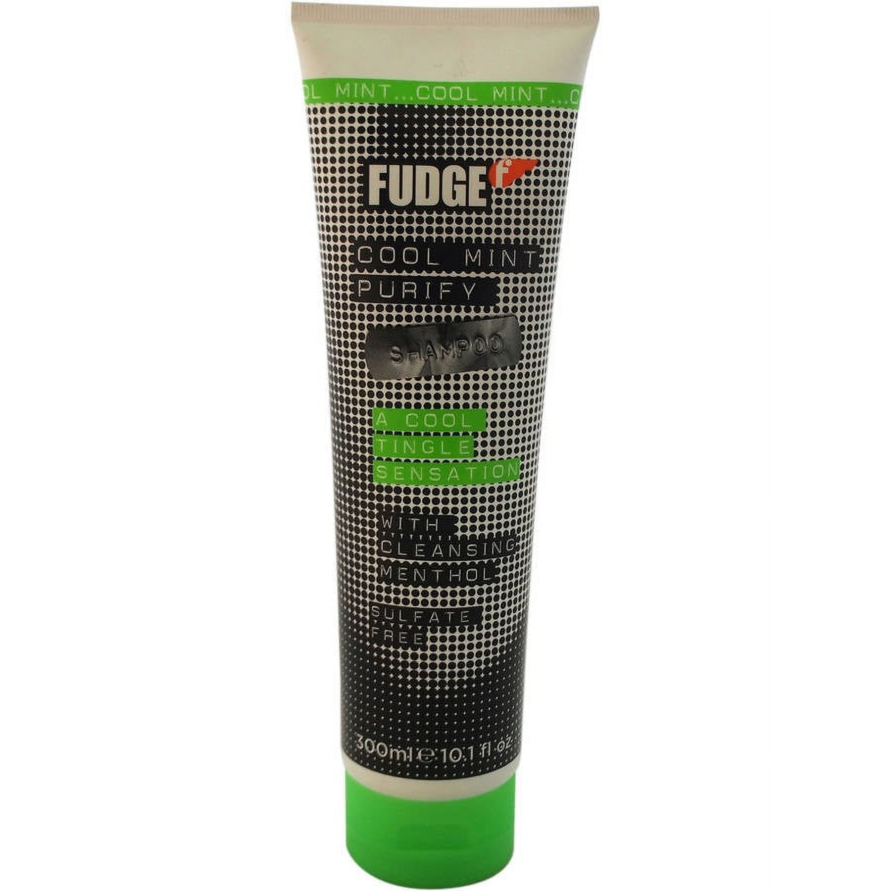 Cool Mint Purify Shampoo by Fudge for Unisex, 10.1 oz