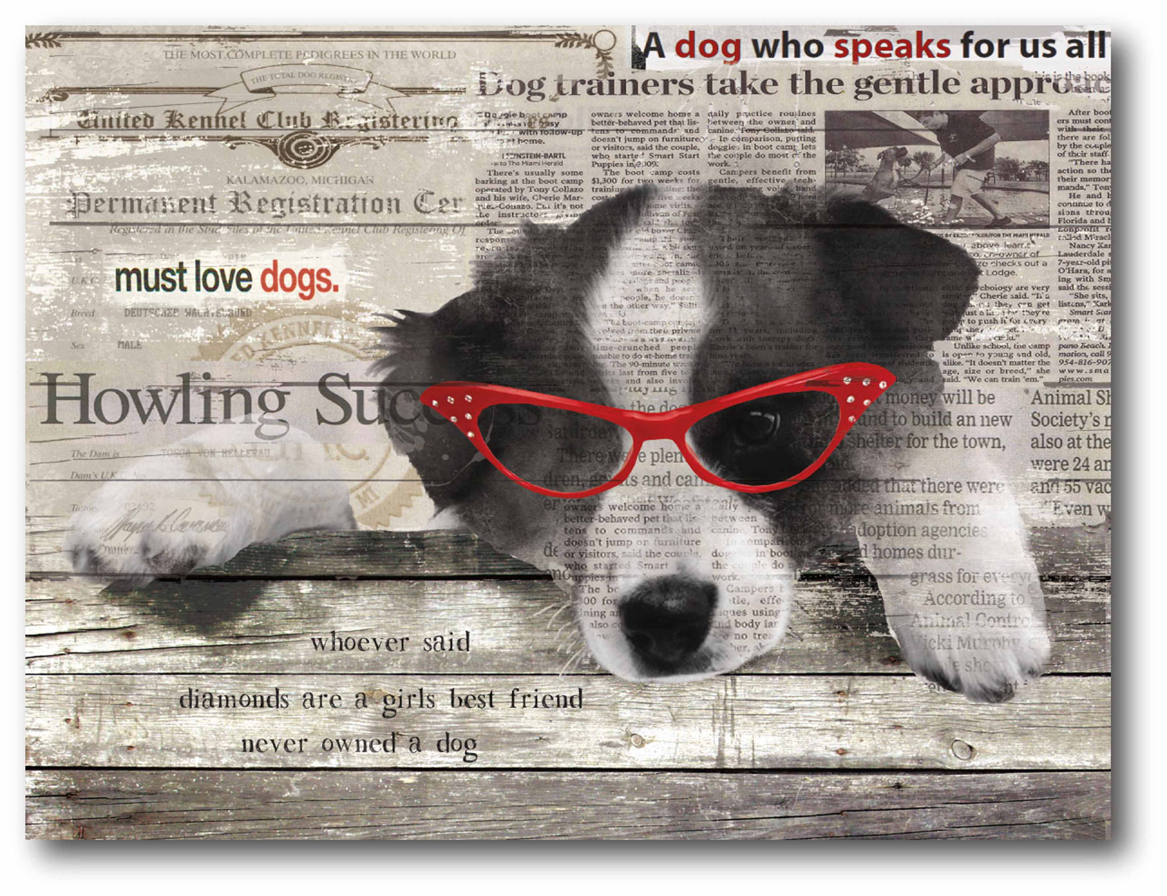 Cool Pup I Gallery-Wrapped Canvas Wall Art, 16x20