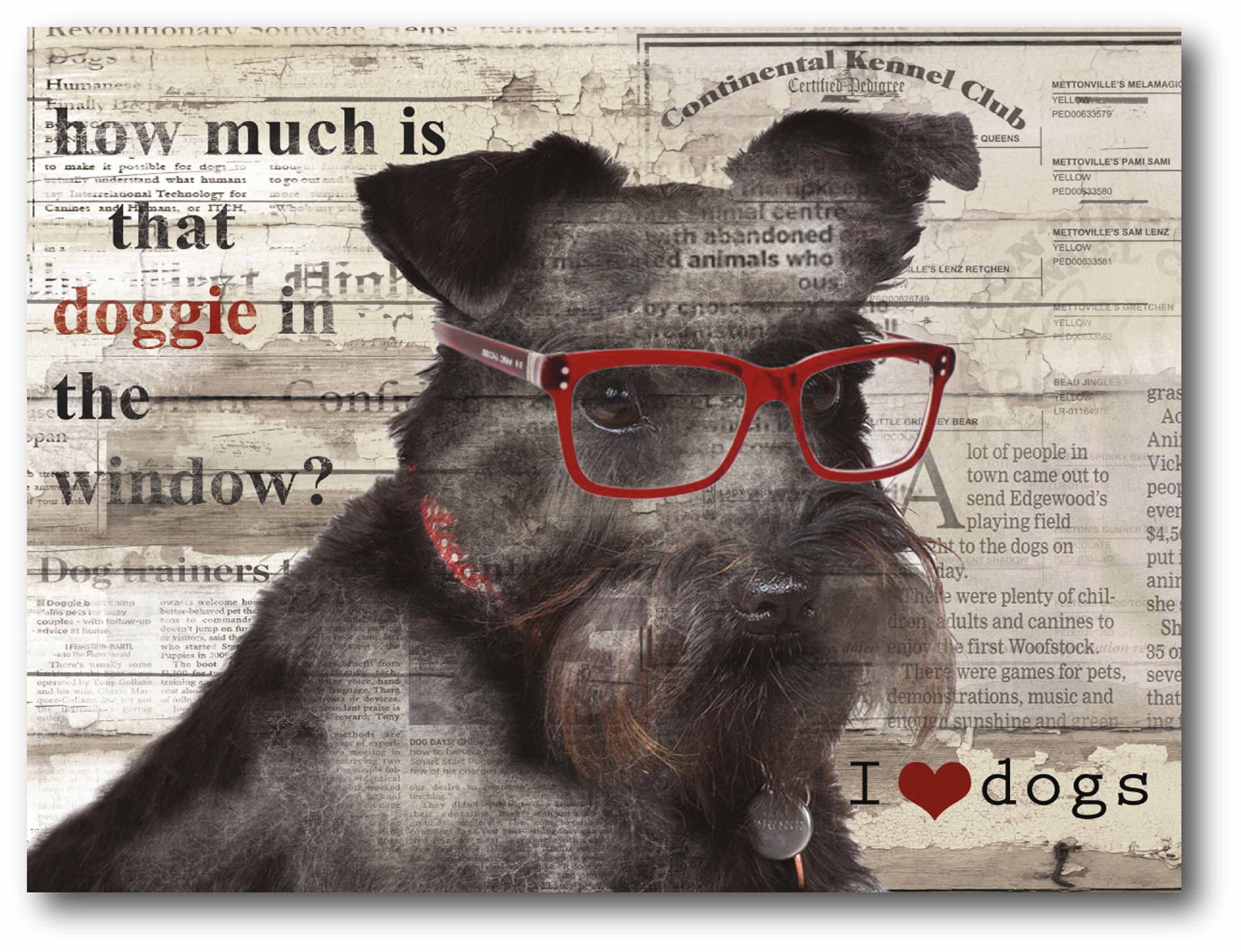 Cool Pup II Gallery-Wrapped Canvas Wall Art, 16x20