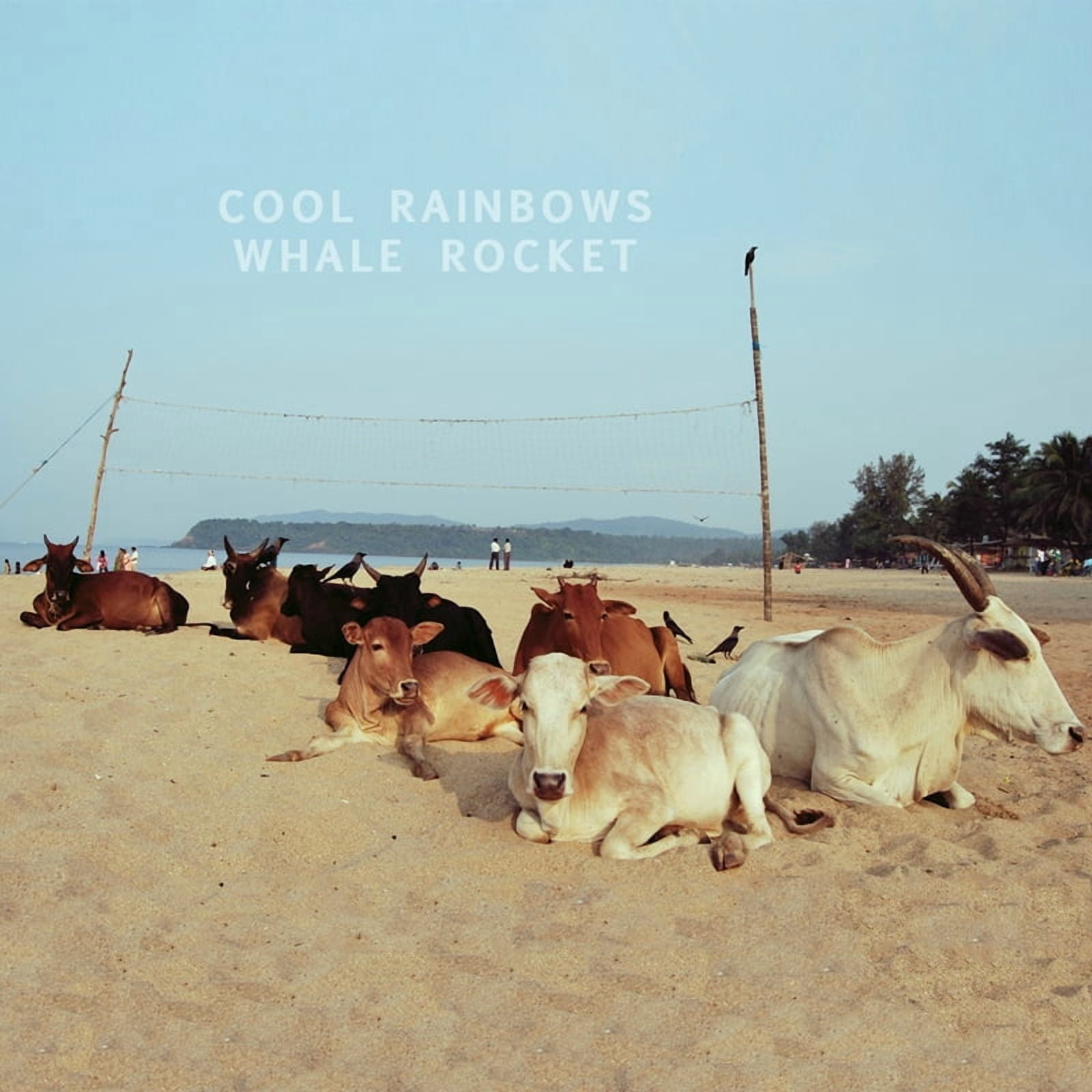Cool Rainbows - Whale Rocket - Music & Performance - Vinyl
