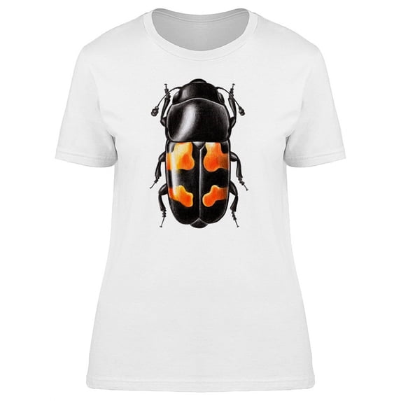 Cool Sap Beetle, Watercolor T-Shirt Women -Image by Shutterstock, Female Small