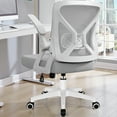 thumbnail image 1 of COOLHUT Ergonomic Office Chair, Comfort Home Desk Chair, Adjustable Dual Lumbar Support Mesh Chair with Flip-up Arms and Adjustable Height - Perfect for Home, Meeting Rooms, Gray, 1 of 11