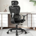 thumbnail image 1 of CoolHut Ergonomic Office Chair Desk Chair High Back Computer Chair with Lumbar Support, High-Sponge Cushion Home Office Chair, 300lbs, Black, 1 of 13