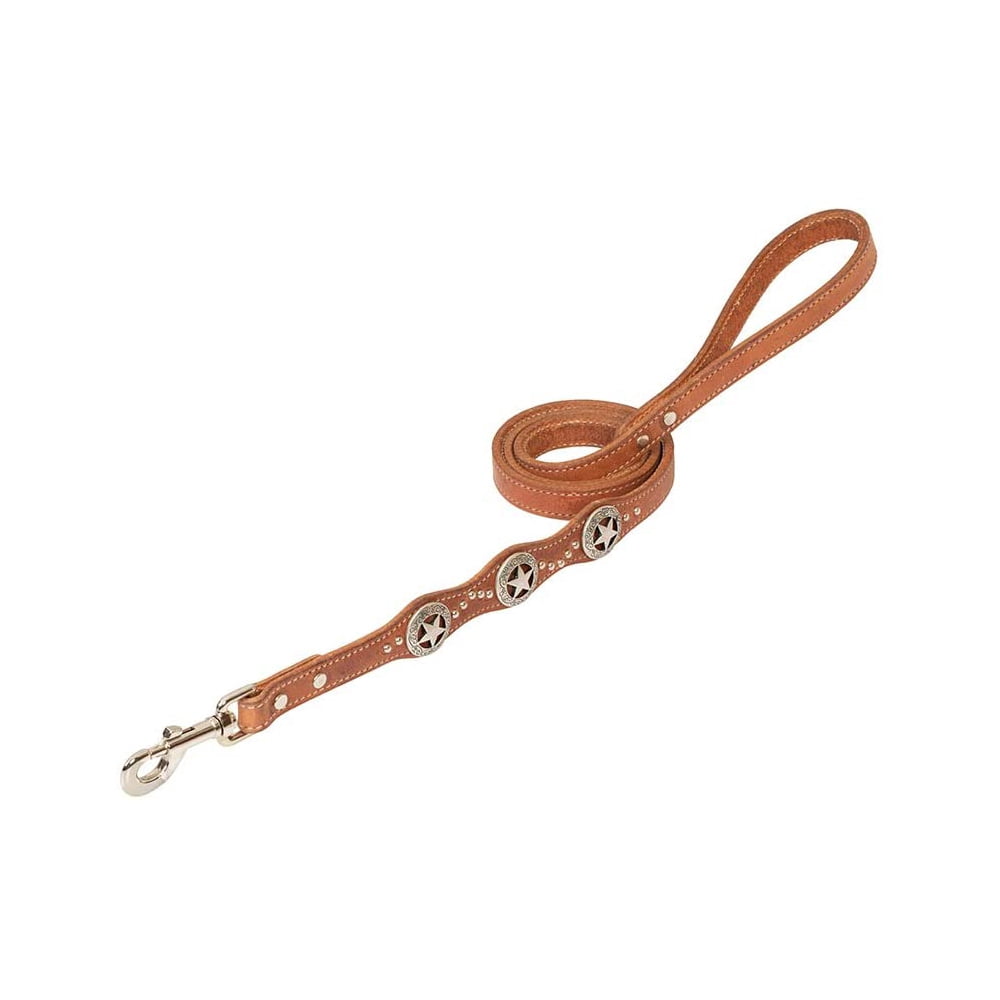 Coolaid Texas Star Dog Leash In 3/4 X 4' Size