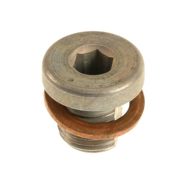 Coolant Bleed Screw - Compatible with 2002 - 2004 Audi A4 1.8L 4-Cylinder 2003