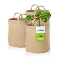 thumbnail image 1 of Coolaroo 10 Gallon Round Fabric Grow Bag with Drainage Holes, UV Resistant and Durable Handles - 3 Pack, Desert Sand, 1 of 7
