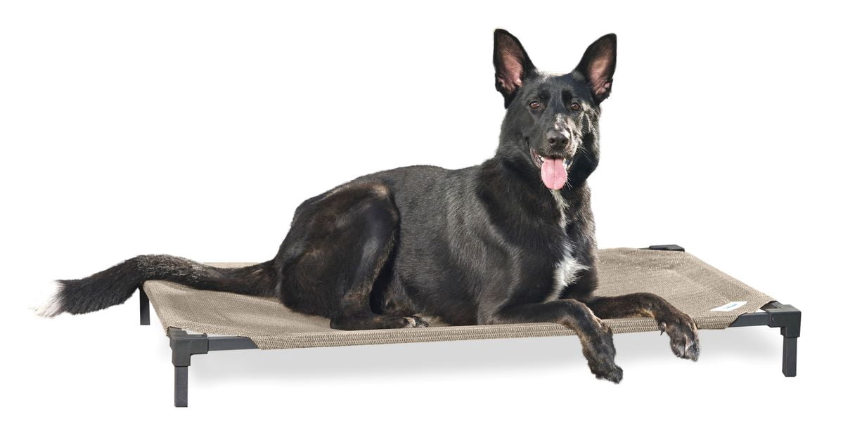 Coolaroo Cooling Elevated Dog Bed PRO with Heatshield, Large, Fits in 48in Crate, Easy Assembly, Great Sandy Beige
