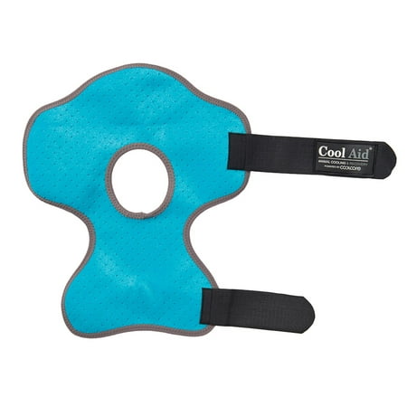 Coolcore Equine Icing and Cooling Hock Wraps, Turquoise, Small