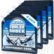 Cooler Shock 10  x 10  Navy Reusable Screw-Cap Ice Packs for Cooler, 4-pack