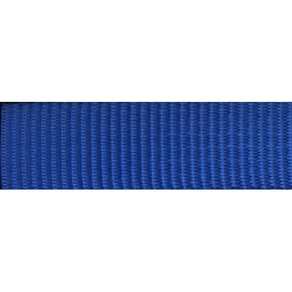 Cooler Tie Down Strap Kit with Stainless Footman/Deck Loops COLOR OPTIONS | CSSS Length: 72 Inches, Color: Blue