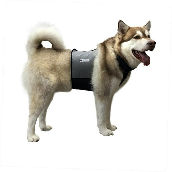 CoolerDog Cooling Vest and Cooling Collar (Large Dogs)