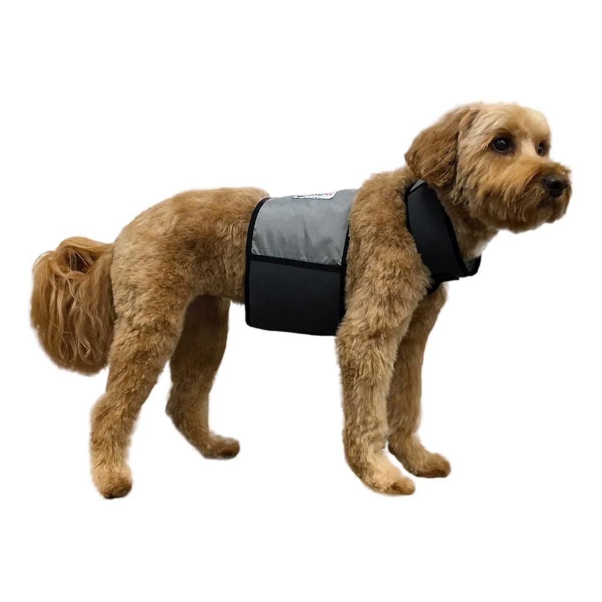 CoolerDog Cooling Vest and Cooling Collar (Medium Dogs)