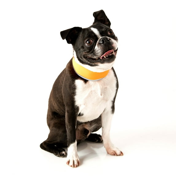 CoolerDog High-Vis Cooling Collar - Reflective Orange