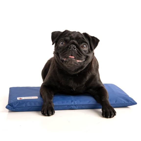 CoolerDog Mini Mat