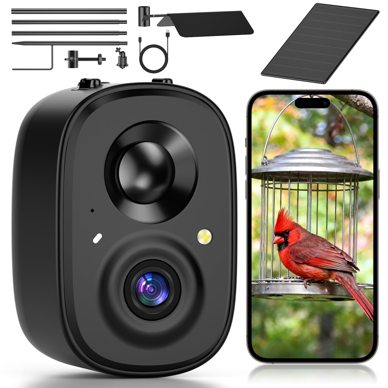 Coolfly x Richbird Solar Smart Bird Feeder Camera with 63" Pole Mount, 2.5K HD Wireless Outdoor Birdwatching Camera with Phone Alerts & No Monthly Fees AI Species Identification