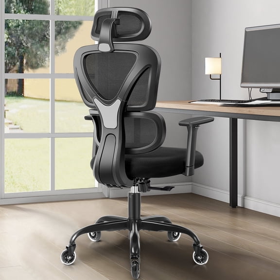 COOLHUT Ergonomic Office Chair, High Back Adjustable Computer Desk Chair with Lumbar Support, 300lb, Black-C
