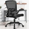 thumbnail image 1 of COOLHUT Ergonomic Office Chair, 350LBS Task Chair, Comfort Desk Chair with Adjustable Lumbar Support and Flip up Arms, Black, 1 of 16