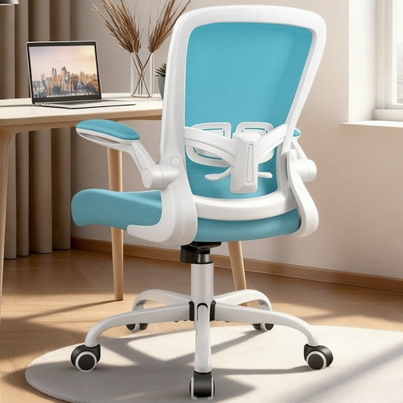 COOLHUT Ergonomic Office Chair, Task Chair, Comfort Desk Chair with Adjustable Lumbar Support and Flip up Arms, 350LBS, Blue