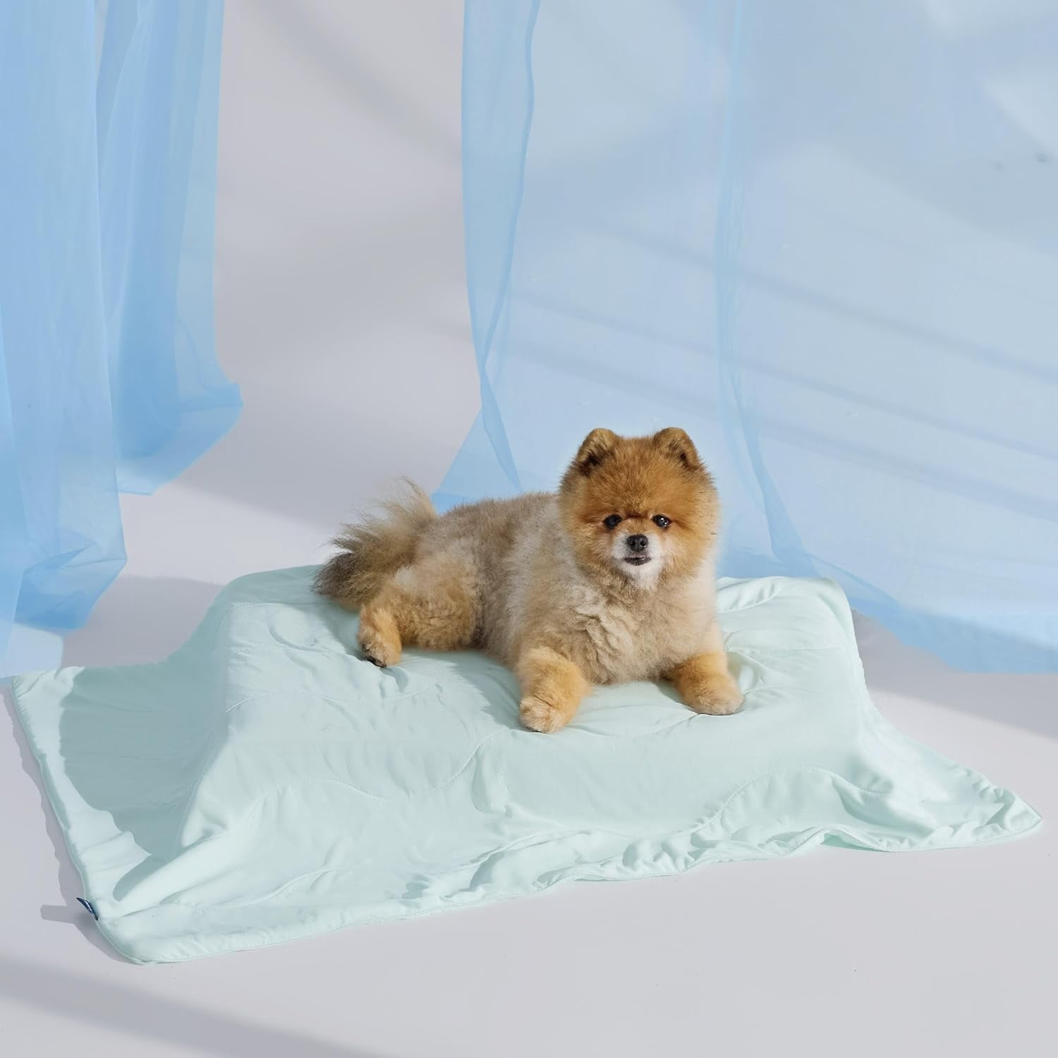 Cooling Blanket for Small Dogs with Breathable Air-Core Fill Q-MAX>0.4 ...