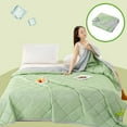 thumbnail image 1 of Cooling Blanket,YgkuHd Summer Air Conditioning Quilt Cool Feeling Ice Silk Summer Quilt Thin Ice Cream Quilt Machine Washable Washable,Cooling Comforter Mint Green 39.37"x59.06", 1 of 6