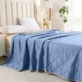 thumbnail image 1 of Cooling Comforter King Size, Summer Comforter for All Season Lightweight Comforter for Hot Sleepers and Night Sweats, Thin Machine Washable Comforter (43.3"x59", Blue), 1 of 6