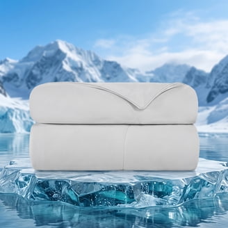 Travel Fresh Personal Travel Blanket, 39x59 - Walmart.com