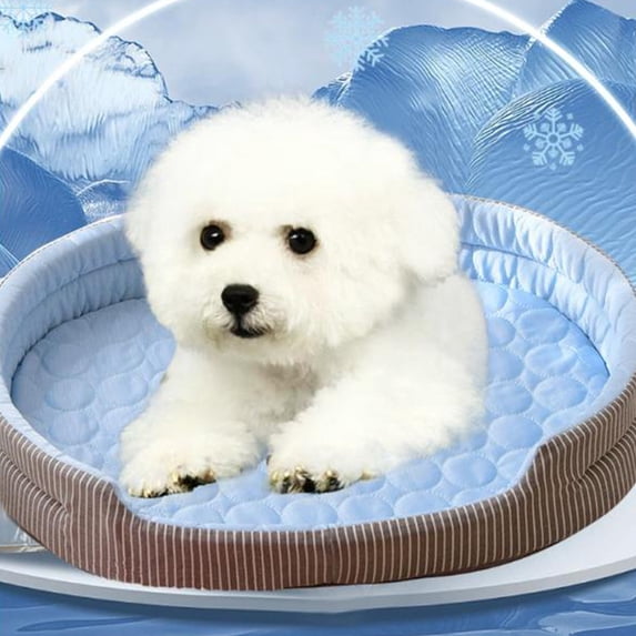 Cooling Dog & Cat Bed for Summer, 20x15 Inch Mattress with Removable Pad & Non-Slip Bottom, Machine Washable Soft Pet Mat Blue