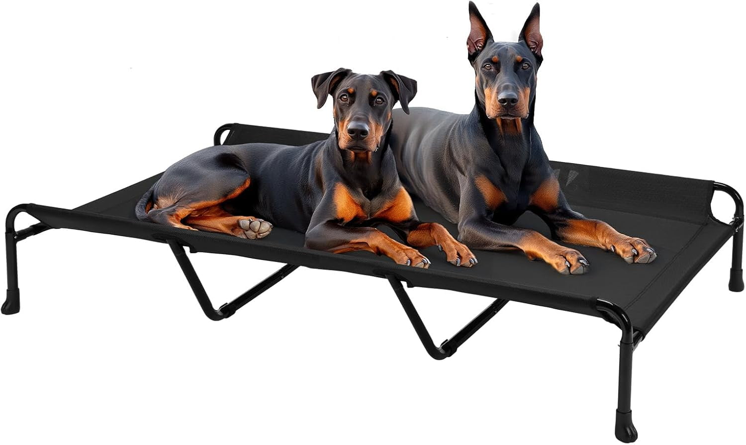 Portable Elevated Dog Beds For Impromptu Trips Reference: Cooling Elevated Dog Bed 59 X 37 Raised Dog Beds